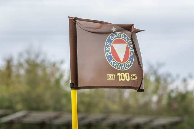 如今逐漸有 如今逐漸有