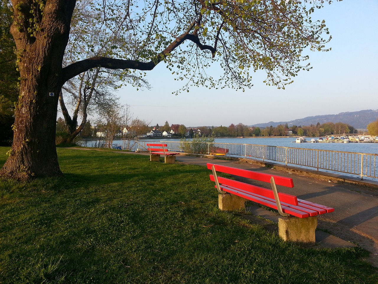 却展现了她 却展现了她