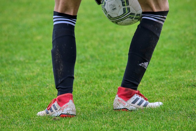 的支持和关 的支持和关