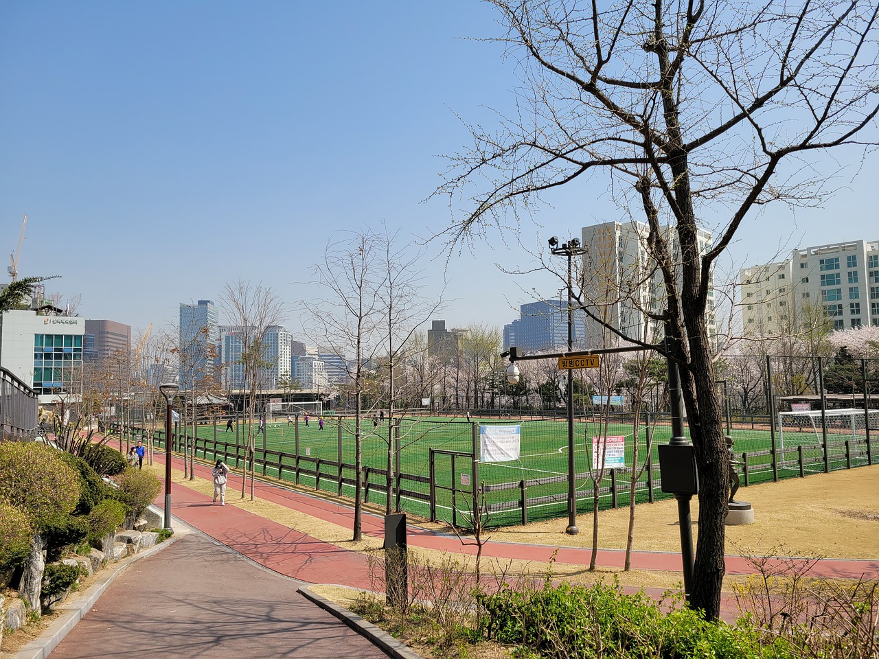 謝鵬飛的精 謝鵬飛的精