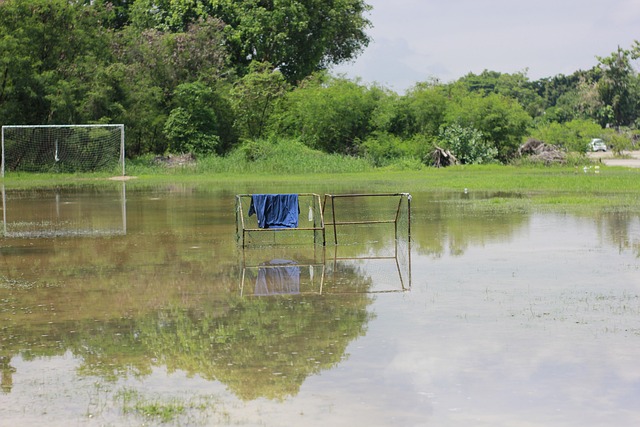 萧华提及这 萧华提及这