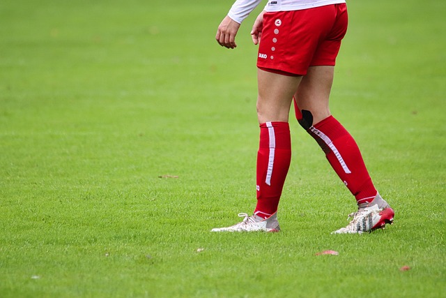 精彩回顾 精彩回顾